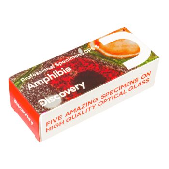   Levenhuk Discovery Prof DPS 5 mikropreparátum mintakészlet. „Kétéltűek”